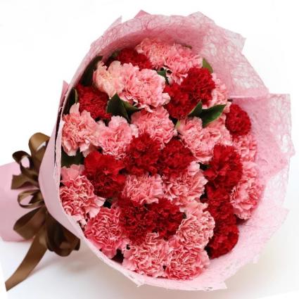 24 Red and Pink Carnations Bouquet product94
